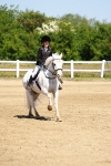 SBM_007153