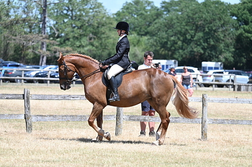 WJ7_2802