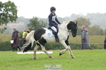 Cls 21 Dressage PC70 and 70plus portfolio