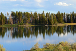 Yellowstone Reflections