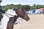 BPP_0387