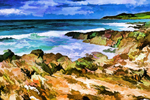Woolacoombe 1
