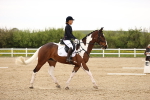 SBM_006905