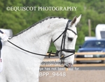 BPP_9448