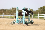 SBM_002975