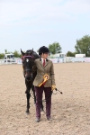 Class 313 IH Retired Racehorse portfolio