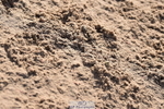 231015A-112230-07432