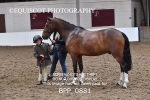 BPP_0881
