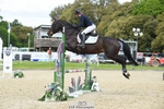 106-BAYAANAAT-Izzy_Taylor-SUNTrotUp+SJ portfolio