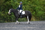 WJ5_9157