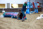 SBM_006273