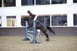 SBM_005235