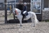 BPP_3286