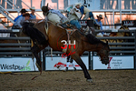 3HRodeo8-5-24_CFD_3HR-YUMA- 0772_