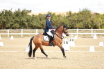 SBM_009891
