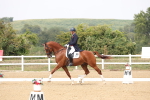 SBM_007381