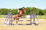 SBM_002672