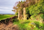 Bridestones, near Congleton (1)