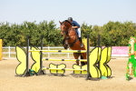 SBM_002271