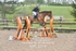 BPP_3272