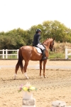 SBM_005438