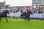 230824-Race 4-Bradsell-9418