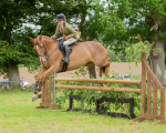 Dunblane show-665