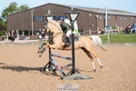 Cls 1&2 Pony Intro 70 - 11Yrs & Under portfolio