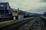 31st March 1985