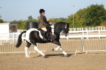 SBM_01138