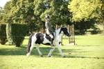 SBM_38962