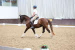 SBM_005376