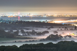 ab312 Midnight mists - Ashey
