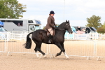 SBM_15495