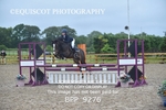 BPP_9276