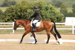 SBM_006195