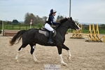 70-75cm Arena Eventing portfolio