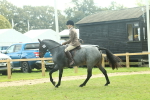 SBM_62618