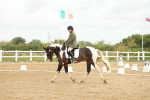 SBM_008659