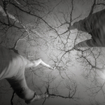 Looking up #1 (Pinhole square format)