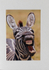 002 Laughing Zebra