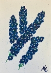 DEL-1 Delphiniums