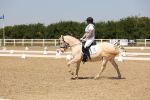SBM_004954