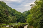 Walking Upstream
