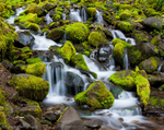 Cascade