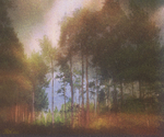 Places portfolio
