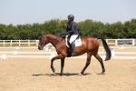 SBM_004294