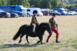 WJ6_7433