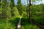 Nuuksio National Park, Uusimaa, Finland