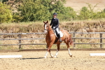 SBM_001653